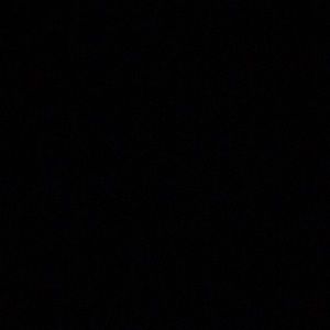 Meet your Posher, Bean